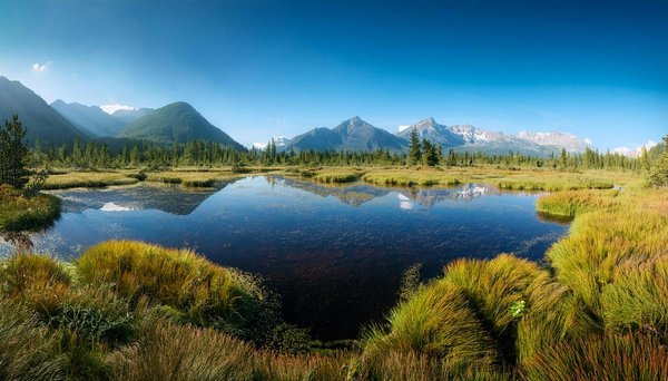 Découvrez des Circuits Touristiques à Vélo Inoubliables : Pédalez vers l'Aventure !