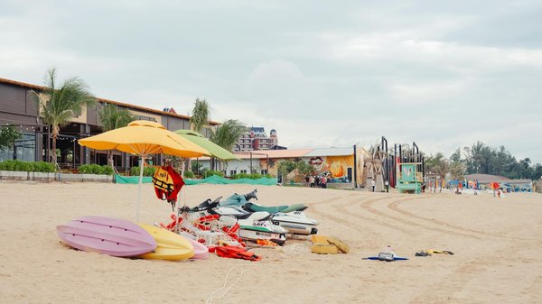 Découverte des vignobles de bordeaux le long de la côte atlantique : une immersion oenologique inoubliable