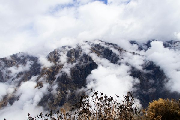 Vérifiez ces éléments clés avant de conclure votre contrat de location de vélo !