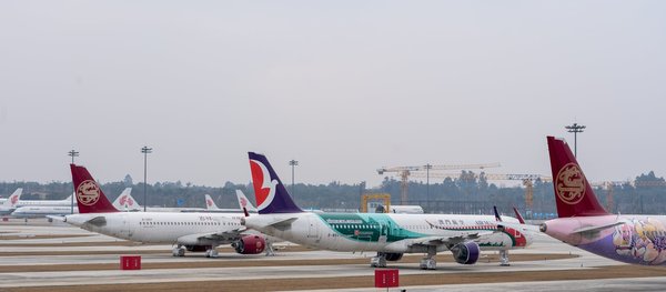 Découvrez les trésors cachés des vignobles bordelais : les incontournables à ne pas manquer